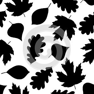 Seamless silhouettes of autumn maple oak chestnut black color vector illustration